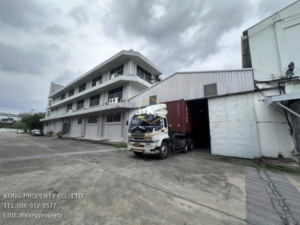 ��طû�ҡ�� �� Kong property