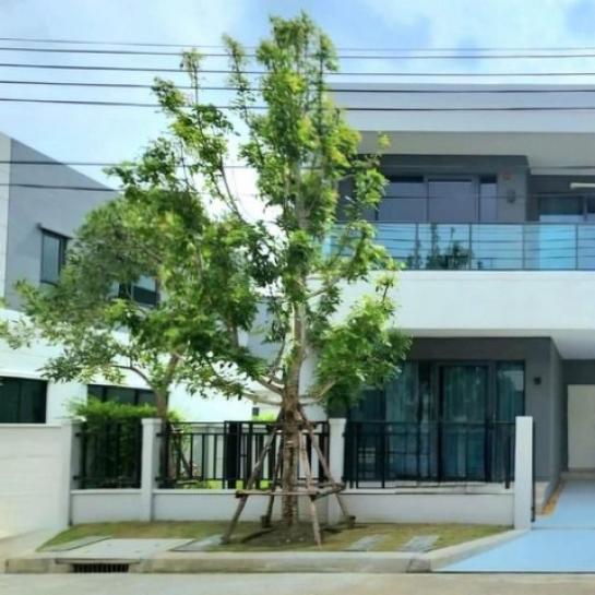 ��� �� kulchaya1