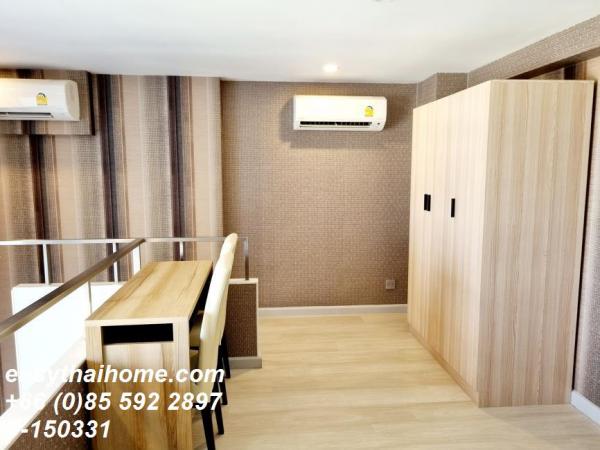 �͹�����ͧ�ѡ��� �ҷ�