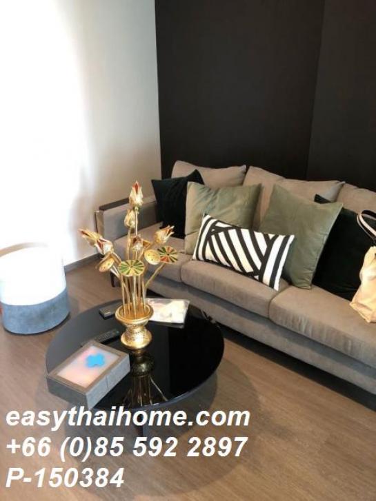 �͹�����ͧ�ѡ��� ���⢹�