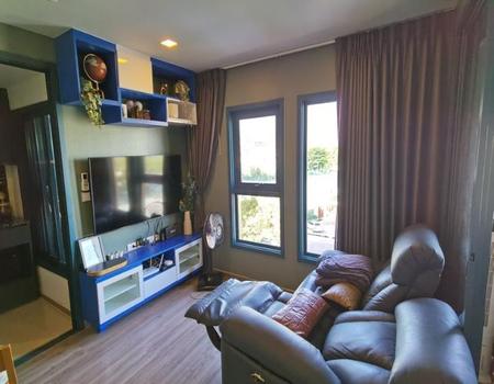 ��¤�ͧ�� �� incube