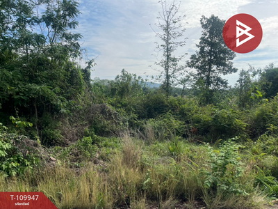 ��ɳ��š �� The Best Property Agent