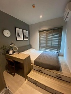 ������ �͹�