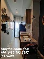 ������ �͹� ������