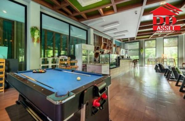 ��¸�áԨ ���ͧ��ù�¡��ù�¡