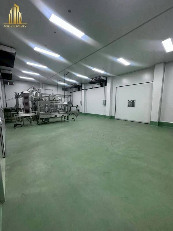 ��ط��Ҥ� �� 1000property