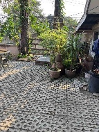 ��ҹ ���ͧ