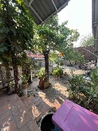 ��ҹ 100 ���ҧ��