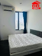 �͹� �ҷ� 39 ���ҧ����