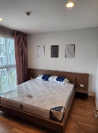 �͹� 65 ���ҧ����