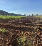 ��·��Թ �Ҥһ�С�Ȣ�� 145,500,000 �ҷ