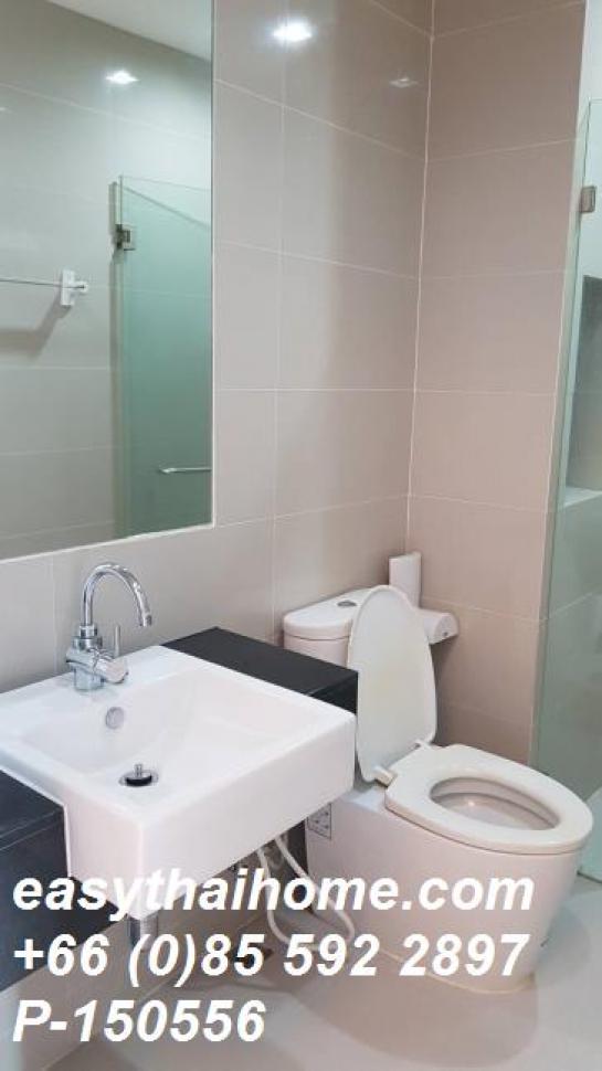 �͹���ö俿�� �ҧ��