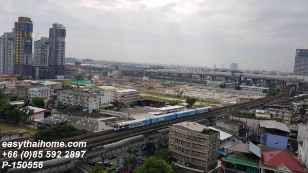 �͹�����ͧ�ѡ��� �ҧ��