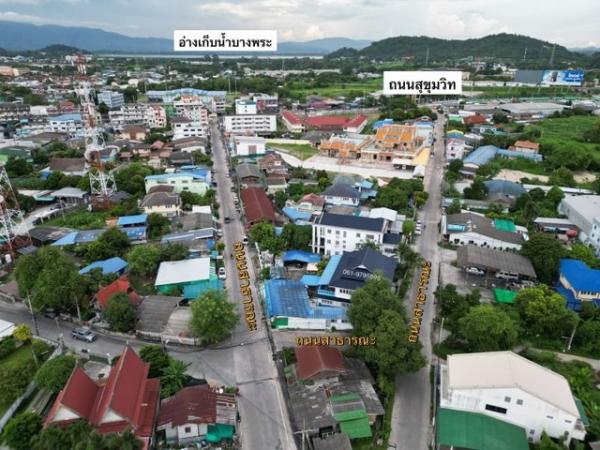 ที่ดิน บางพระ ชลบุรี