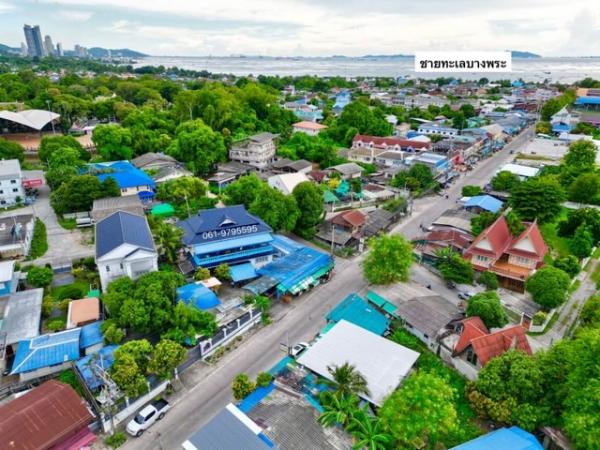 ที่ดิน บางพระ ชลบุรี