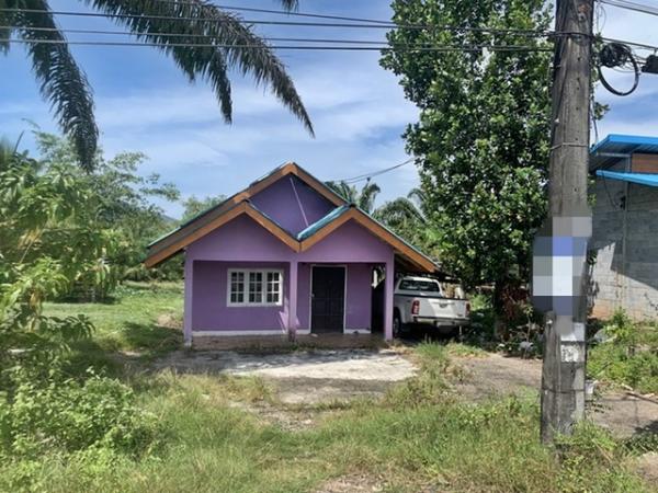 ��º�ҹ �ѹ�ѧ ��ѧ