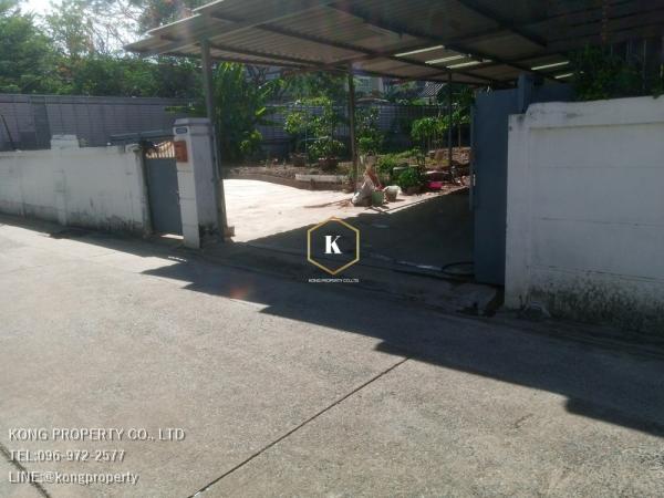 �ҧ�͡�˭� �� Kong property