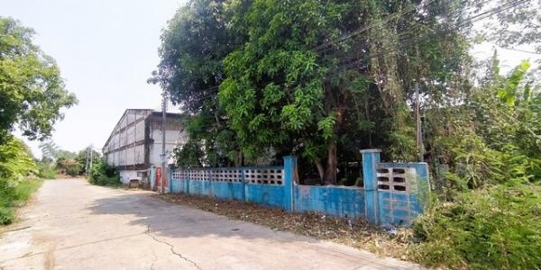 ��º�ҹ �оҹ�Թ�ԨԵ�