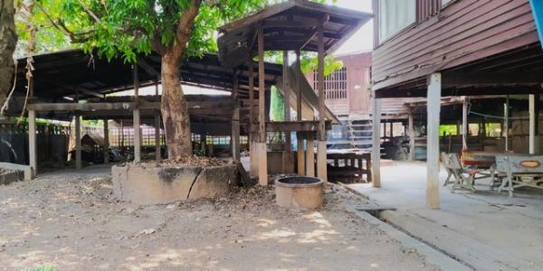 ��º�ҹ �оҹ�Թ�ԨԵ�