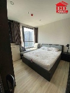 �͹� ���¢�ҧ