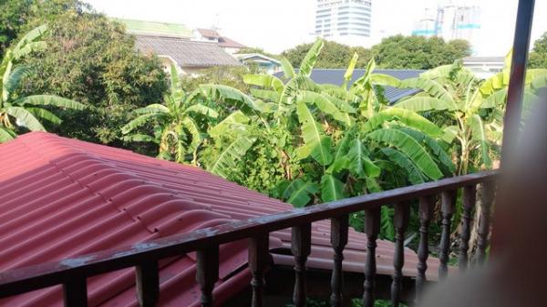 ��º�ҹ ���Ե��ا෾