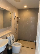 ��ǹ���� �Ҵ�����