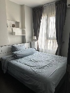 �����Ҥ͹������� �Ҥһ�С�������� 16,500 �ҷ/��͹