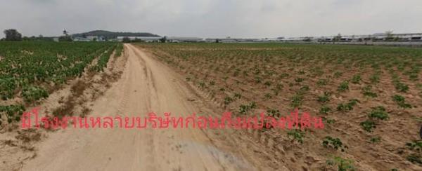 ขายที่ดิน จังหวัดระยอง