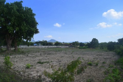 ที่ดิน บางละมุง ชลบุรี ที่ดิน บางละมุง ชลบุรี