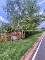 ��·��Թ �Ҥһ�С�Ȣ�� 799,999 �ҷ