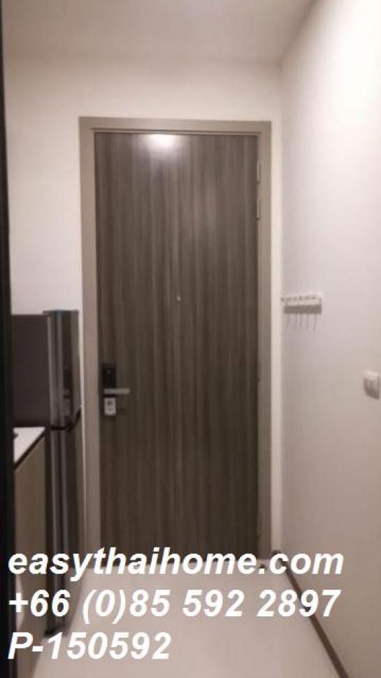 �͹���ͧʵٴ��� �Ѳ��