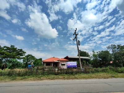 ��º�ҹ ⾷��žԨԵ�