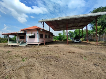 ��º�ҹ ⾷��žԨԵ�