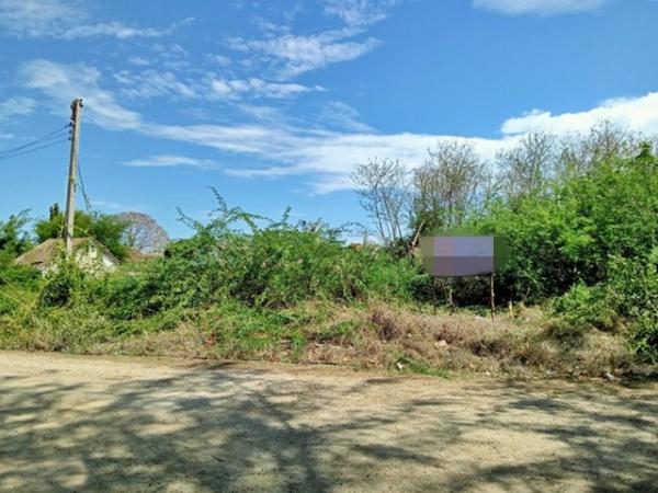 Թ 鹷 508 ҧ