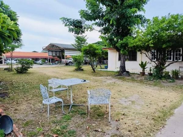 ที่ดิน บางละมุง ชลบุรี ที่ดิน บางละมุง ชลบุรี