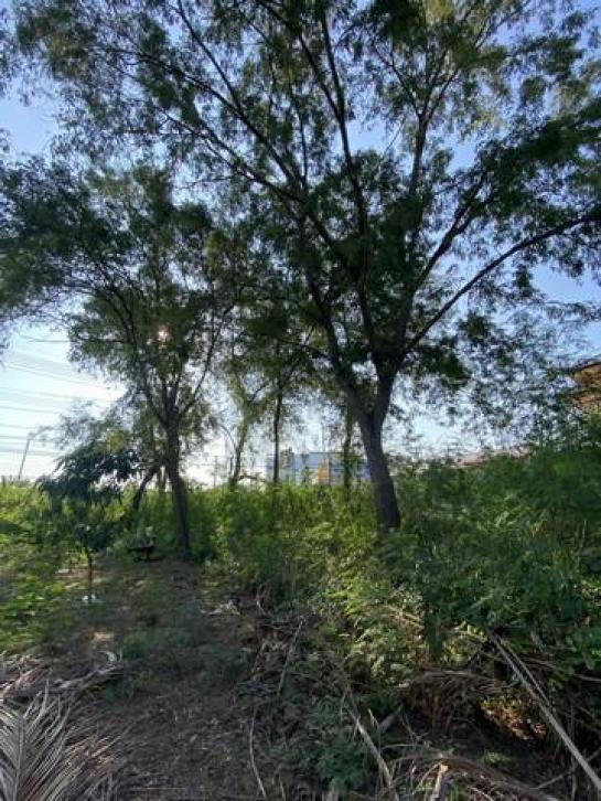 ��¹�û�� �� Airatda