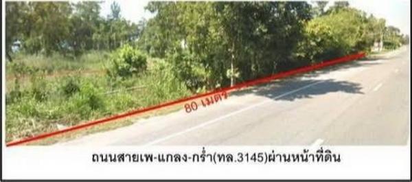 ขายที่ดิน จังหวัดระยอง