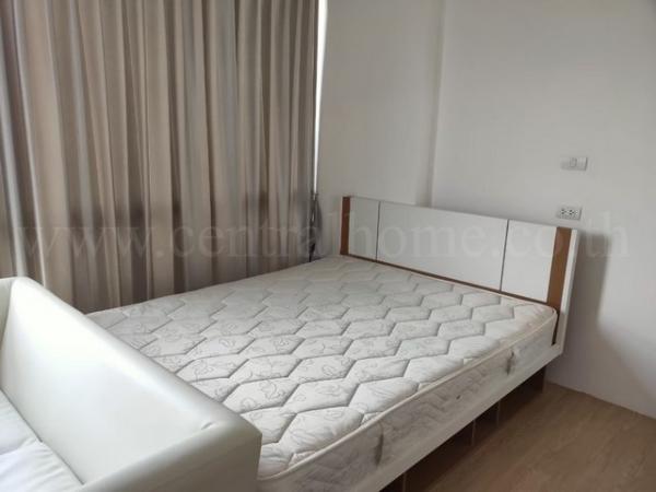 ��¤͹� ��觤��