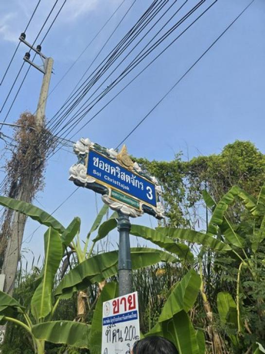 ขายที่ดิน ปทุมธานี ขายที่ดิน ปทุมธานี