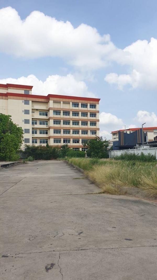 ���Թ lotus 2000 ���ҧ��