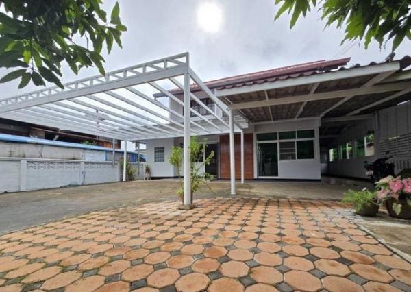 ��º�ҹ ���ͧ������