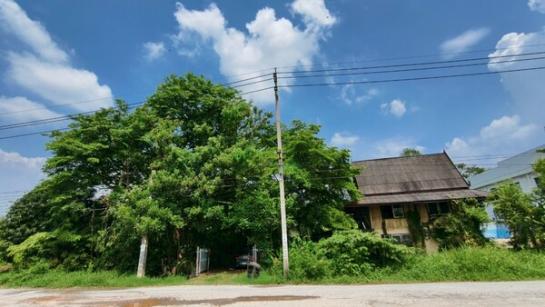 �ҧ���� �� Estate Corner