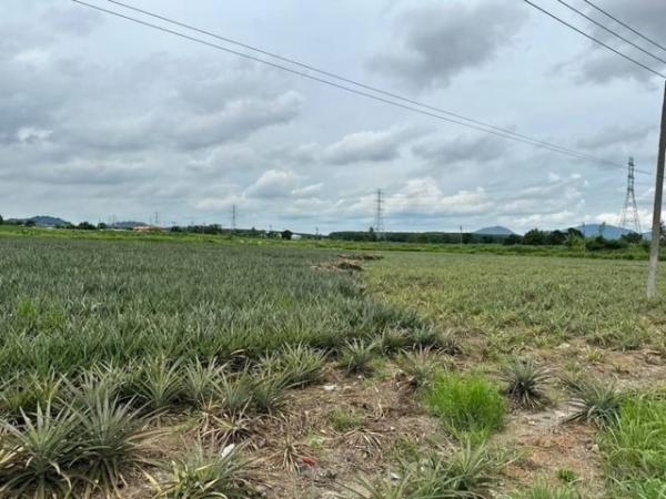 �ź��� �� ahousepost9