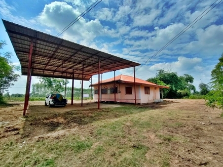 ��º�ҹ ⾷��žԨԵ�