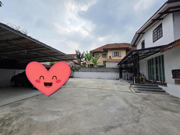 ���⢹� �� naorinpl