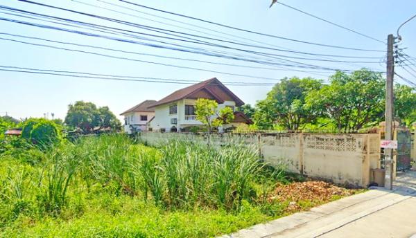 �ҧࢹ �� nut.allentrepreneur