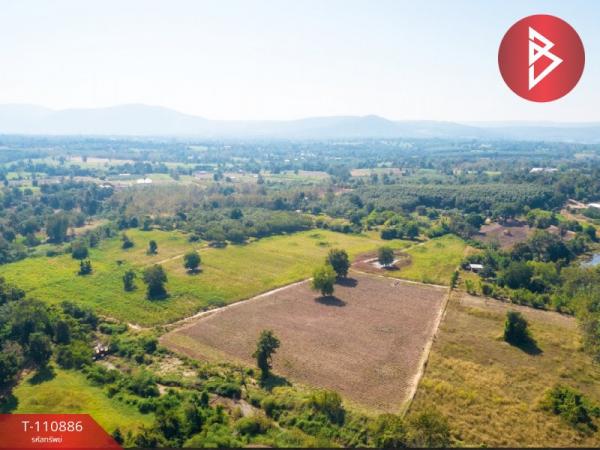 ��ɳ��š �� The Best Property Agent