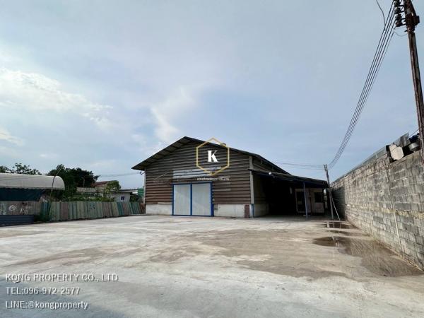 ⡴ѧ��ا෾ �� Kong property