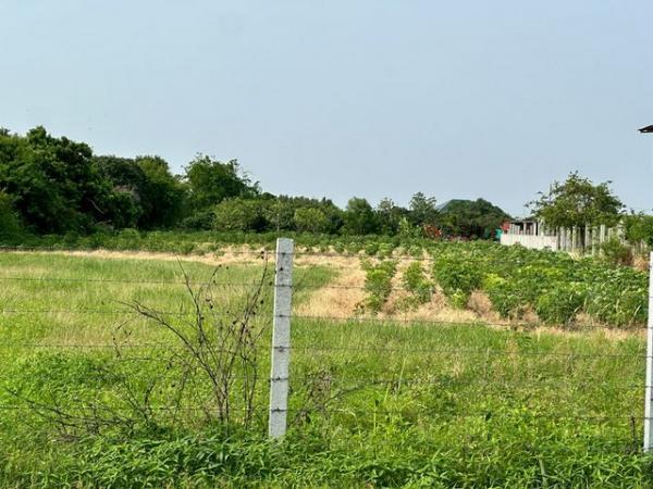 �ź��� �� ataproperty22