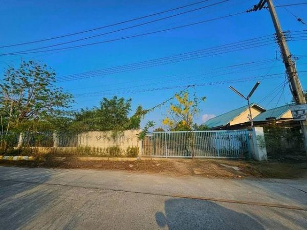 ⡴ѧ �Ԥ� �ź���